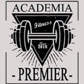 Imagem de perfil do parceiro Academia Premier
