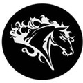Wild Horse Fitness Partner profile image