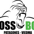 Imagen de perfil del partner Crossbox Patagones