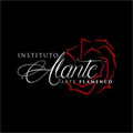 Imagem de perfil do parceiro Instituto Alante – Arte Flamenco