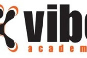 Imagem de perfil do parceiro Vibe Academia - Leopoldina