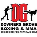 DG Boxing and Martial Arts partner profile image