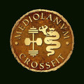 Immagine del profilo del partner CrossFit Mediolanvm