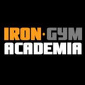 Imagem de perfil do parceiro Iron Gym Academia