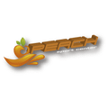 Imagen de perfil del partner Peach Sport Center
