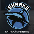 Imagen de perfil del partner Sharks