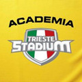 Imagem de perfil do parceiro Academia Trieste Stadium