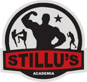 Imagem de perfil do parceiro Stillus Academia