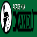 Imagem de perfil do parceiro Academia Xandu