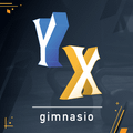 Imagen de perfil del partner Gimnasio YX