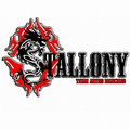 Imagem de perfil do parceiro Stallony Team Artes Marciais