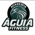 Imagem de perfil do parceiro Academia Águia Fitness