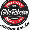 Imagem de perfil do parceiro Centro de Treinamento Gile Ribeiro Aeroporto