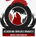 Imagem de perfil do parceiro Academia Dragão Branco de Artes Marciais