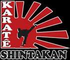 Imagem de perfil do parceiro Academia Shintakan