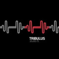 Imagem de perfil do parceiro Tribulus Studio Fit