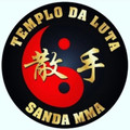Imagem de perfil do parceiro CT Templo da Luta