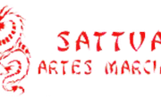 Imagem de perfil do parceiro Sattva Artes Marciais
