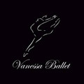 Imagem de perfil do parceiro Vanessa Ballet