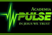 Imagem de perfil do parceiro Pulse Academia