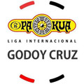 Imagen de perfil del partner Liga Internacional de Pakua Godoy Cruz