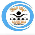 Imagem de perfil do parceiro GRAN VILLE ACADEMIA