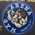 Imagem de perfil do parceiro Arena Gym - Enseada