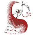 Imagen de perfil del partner Academia Triana
