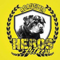 Imagem de perfil do parceiro Academia Heros Fitness