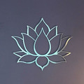 Southern Lotus Yoga Partner profile image