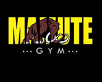 Imagem de perfil do parceiro Mamute Gym