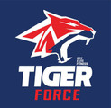 Imagem de perfil do parceiro Tiger Force Crosstraining