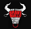 Imagen de perfil del partner Brave Bulls Madrid Río