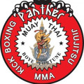 Team Panther Academy Partner profile image