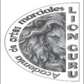 Imagen de perfil del partner Academia Lion Guru