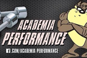 Imagem de perfil do parceiro Academia Performance