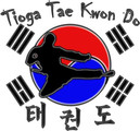 Tioga Tae Kwon Do partner profile image