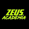 Imagem de perfil do parceiro Zeus Academia