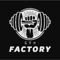 Imagem de perfil do parceiro GYM FACTORY