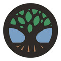 Whole Fitness & Wellness Partner profile image