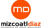 Imagen de perfil del partner Academia De Artes Marciales Mizcoatl Diaz
