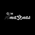 Imagen de perfil del partner Amazonas Gym