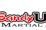 United Studios of Self Defense Sandy Partner profile image