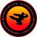 Imagen de perfil del partner Escuelas Korehaii Taekwondo Lima Lama Ensueño