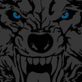 Battle Wolf CrossFit Partner profile image