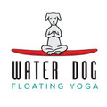 Water Dog Floating Yoga partner profile image