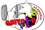 Imagem de perfil do parceiro Academia Gaivota Fit