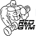 Imagen de perfil del partner Red Gym Sur