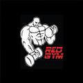 Imagen de perfil del partner Red Gym Centro