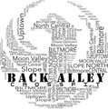 Back Alley CrossFit Partner profile image
